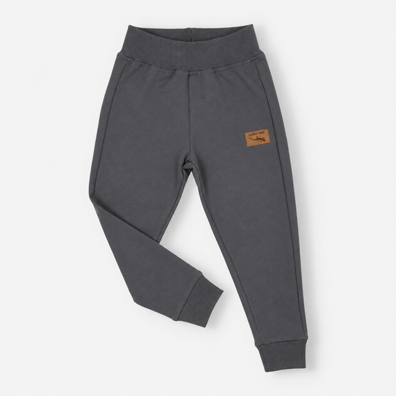Jungen Jogginghose Lagarto Verde KAR-0040/SZA aus Baumwolle Grau