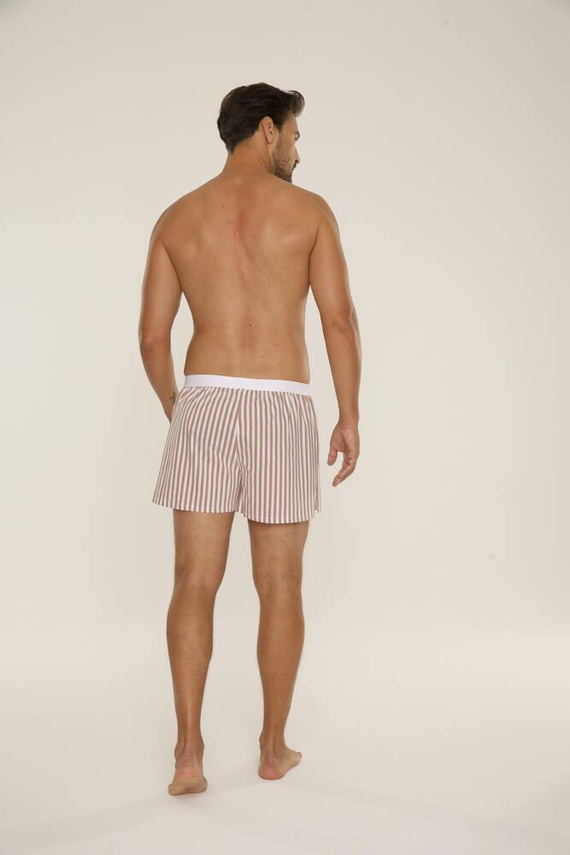 826 Taylor Herren Boxershorts De Lafense - braun