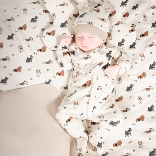 215055 Eddy Hut mit Ohren Nicol