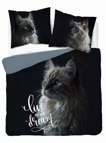 5296 A Holland Cotton Bettwäsche Katze Lebe deinen Traum Detexpol schwarz