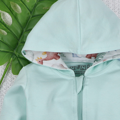 ABN-5576 Dino Explorer Nini Kinder-Sweatshirt – Bio-Baumwolle, bequemer Schnitt