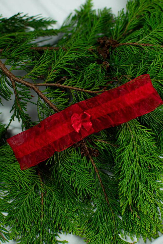 221 De Lafense Chiffon-Strumpfband - rot