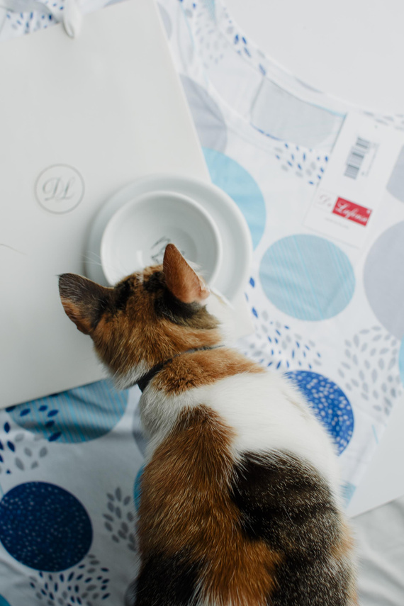 860 Amelia De Lafense Nachthemd - kurze Ärmel, weiche Viskose - türkis