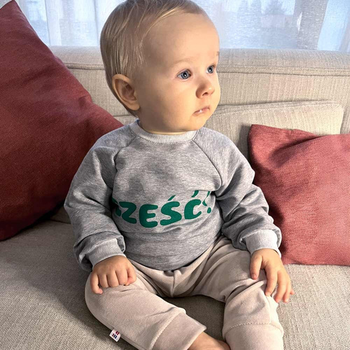 Hello World Eevi Sweatshirt – grau