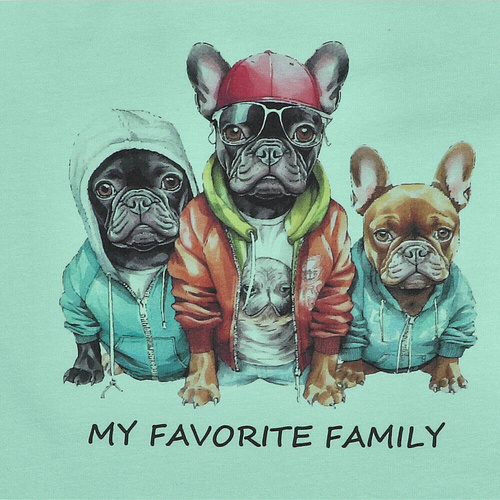 KAR-2002/PIS Lagarto Verde Pistazien-T-Shirt für Jungen