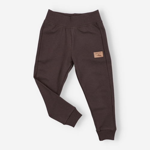 KAR-0040/BRA Jogginghose für Jungen Lagarto Verde Schokolade – bequem, Baumwolle, polnische Produktion