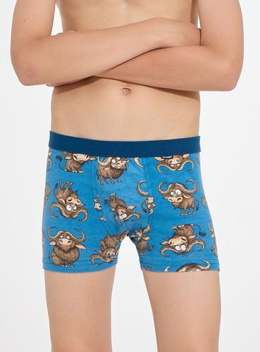 Jungenboxershorts Cornette Young Boy 700/159 Bulls 2 aus Baumwolle