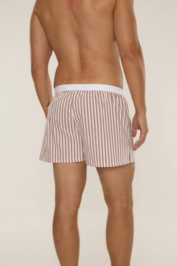 826 Taylor Herren Boxershorts De Lafense - braun