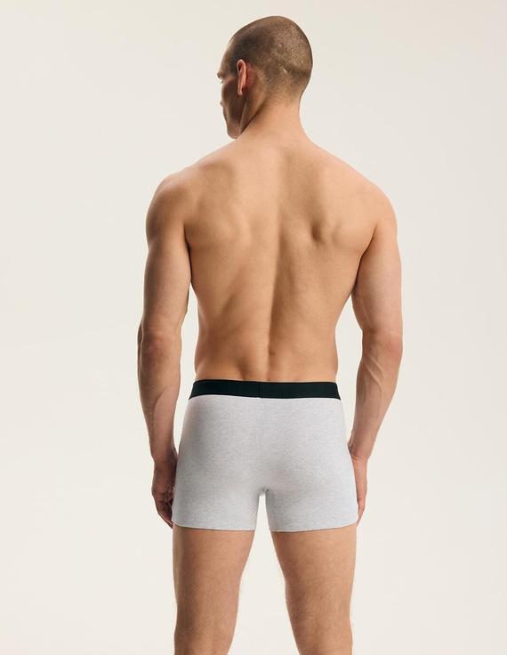 Herrenboxershorts Henderson 45473 Fade 2er-Pack Baumwolle mit breitem Logo-Bund