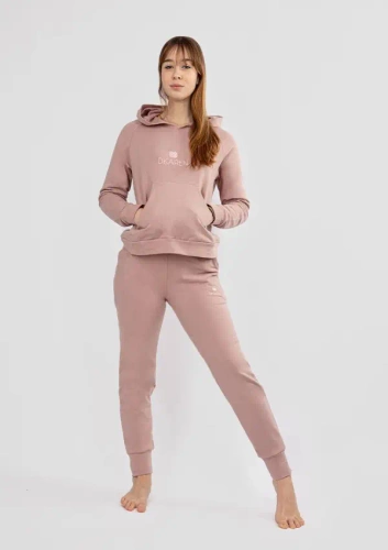 Seattle H1 Dkaren Damen-Trainingsanzug-Set – Pulver