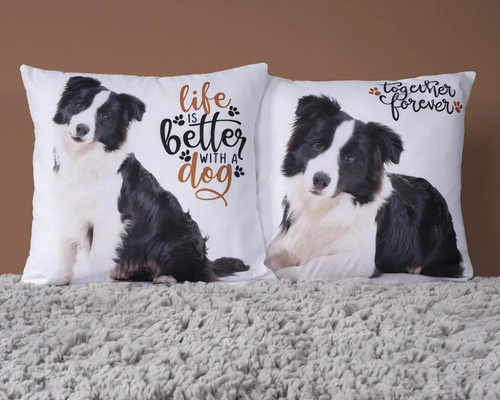 Hund MF 08 Kids 114 Kinderkissenbezug Detexpol weiß