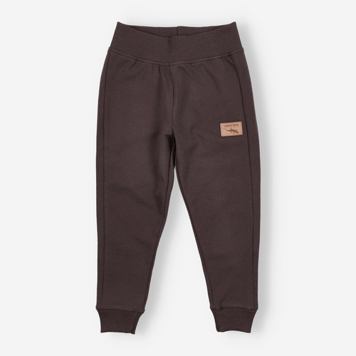 KAR-0040/BRA Jogginghose für Jungen Lagarto Verde Schokolade – bequem, Baumwolle, polnische Produktion