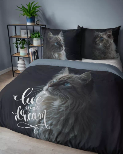 5296 A Holland Cotton Bettwäsche Katze Lebe deinen Traum Detexpol schwarz