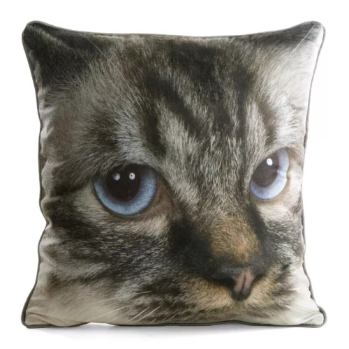 Kissenbezug Animal 45x45 Samt Eurofirany mit Reißverschluss cat