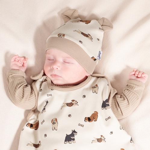 215055 Eddy Hut mit Ohren Nicol