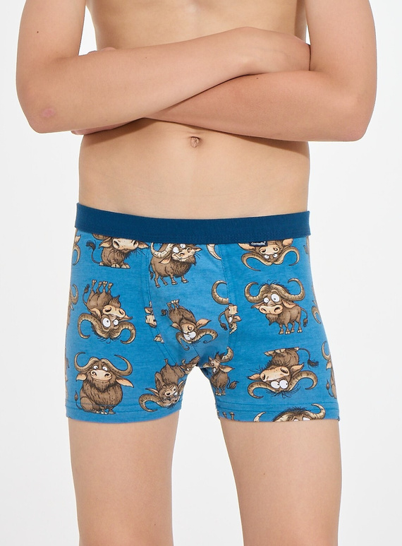 Jungenboxershorts Cornette Young Boy 700/159 Bulls 2 aus Baumwolle