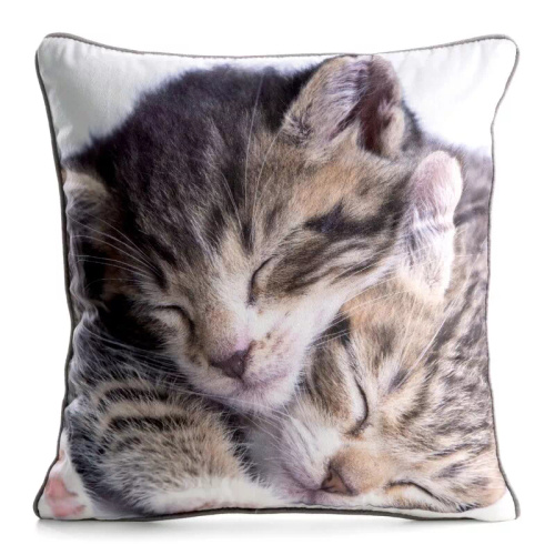 Kissenbezug Animal 45x45 Samt Eurofirany mit Reißverschluss cat