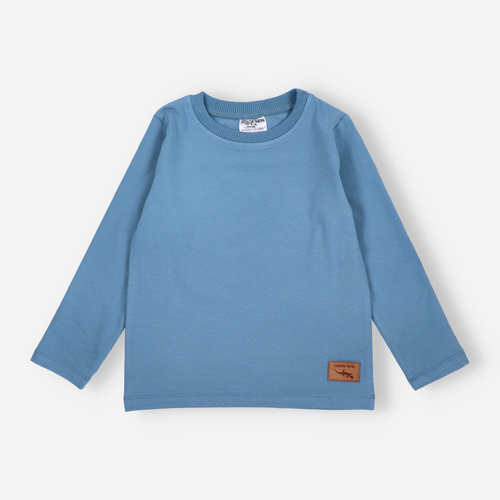 KAR-1022 Jungen-Langarmbluse Lagarto Verde blau – Baumwolle mit Elasthan, polnische Produktion