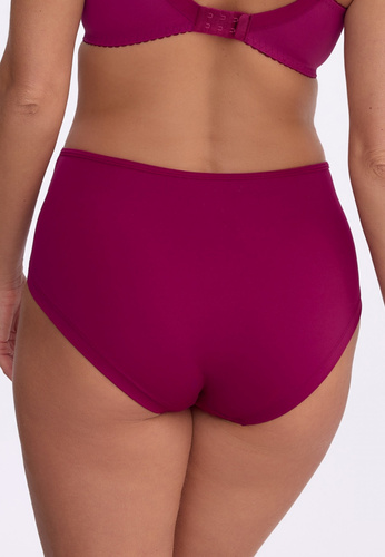 Damen-Slip Mariana GFP 1384 Gaia Chianti Hoch geschnitten Bestickt