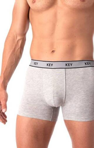 MXH 222 Key Herren-Boxershorts – Grau