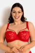 Roter BH