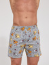 Boxer