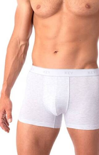 MXH 222 Key Herren-Boxershorts – Hellgrau