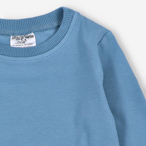 KAR-1022 Jungen-Langarmbluse Lagarto Verde blau – Baumwolle mit Elasthan, polnische Produktion