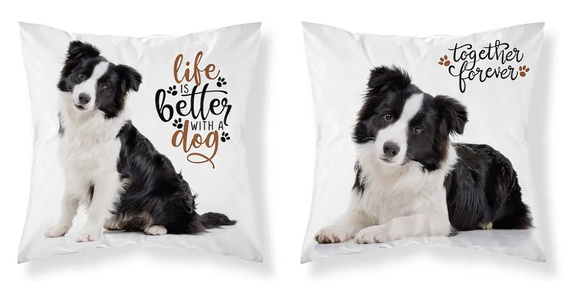 Hund MF 08 Kids 114 Kinderkissenbezug Detexpol weiß