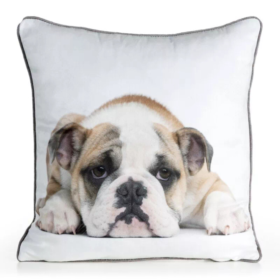 Kissenbezug Animal 45x45 Samt Eurofirany mit Reißverschluss buldog