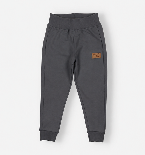 Jungen Jogginghose Lagarto Verde KAR-0040/SZA aus Baumwolle Grau