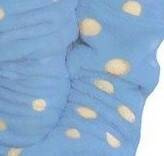 998 Bowtie Forex Kinderbademantel - blau