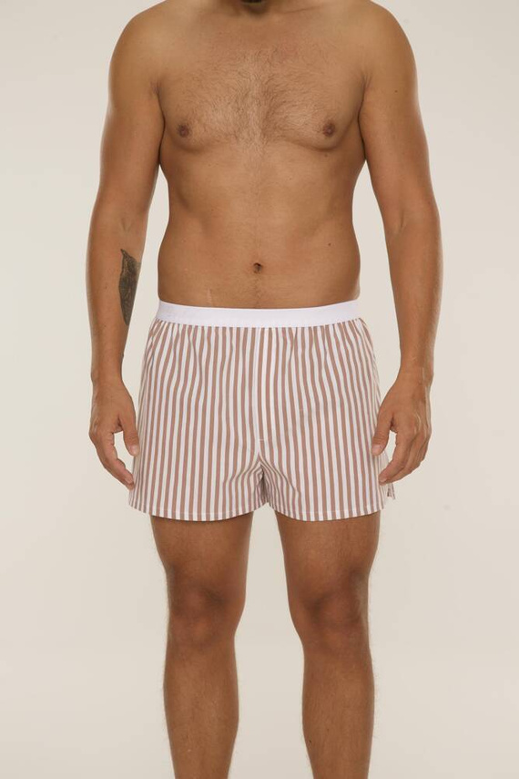 826 Taylor Herren Boxershorts De Lafense - braun