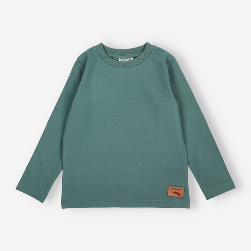 KAR-1020 Jungen-Langarmbluse Lagarto Verde grün – Baumwolle mit Elasthan, polnische Produktion