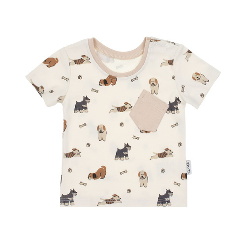 215138 Kurzarmbluse „Eddy“ Nicol