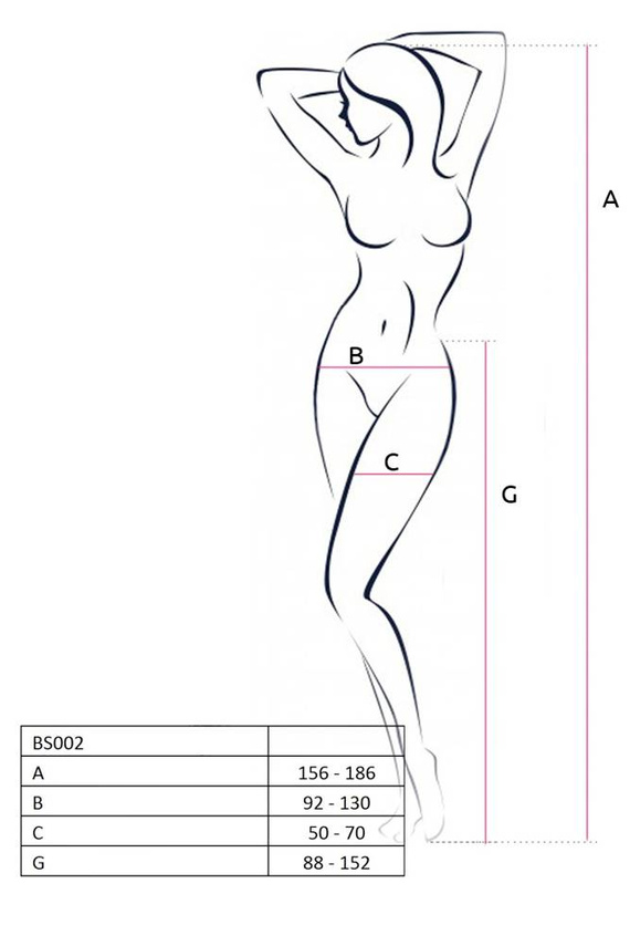 S027 Bodystocking Pończochy Passion czarny