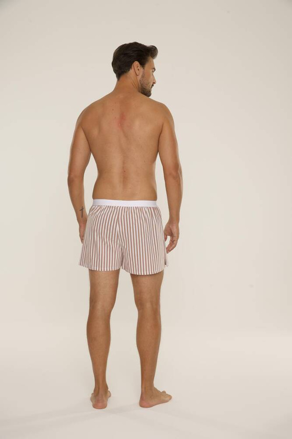 826 Taylor Herren Boxershorts De Lafense - braun