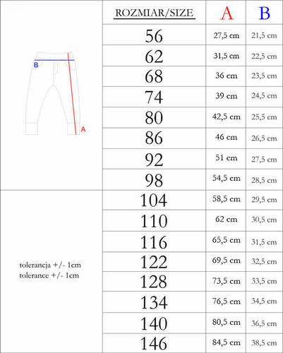 169547 Nicol Jogginghose – grau