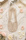 champagner