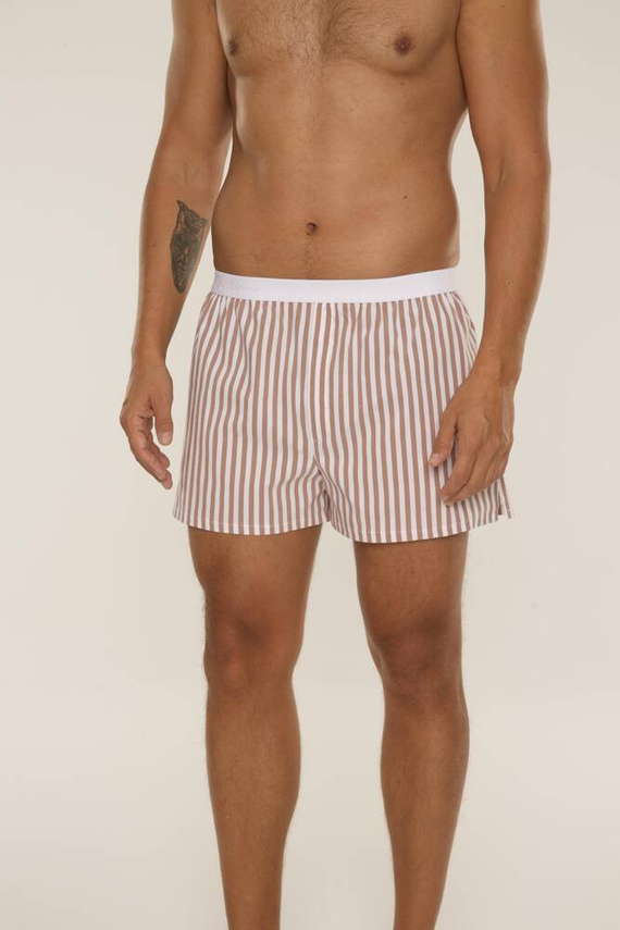 826 Taylor Herren Boxershorts De Lafense - braun