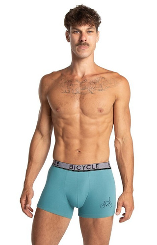 M-1064 Lama Herren-Boxershorts Schwarz-Mint – Baumwolle, tailliert, Fahrradaufdruck, 2er-Pack