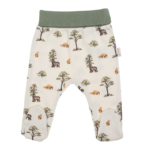 218009 Yogi Bear Halbschlafanzug Baumwolle Nicol – Waldmuster