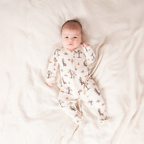 218031 Yogi Bär Clown Nicol Baumwolle – Waldmuster, lange Ärmel