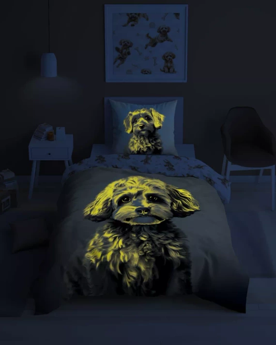 5421 Eine im Dunkeln leuchtende Baumwollbettwäsche von Rudy Piesek Detexpol