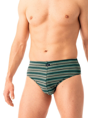 Herren-Slips MPP 315 Key blaugrün – Baumwolle, 2er-Pack im Karton, Komfort und Stil